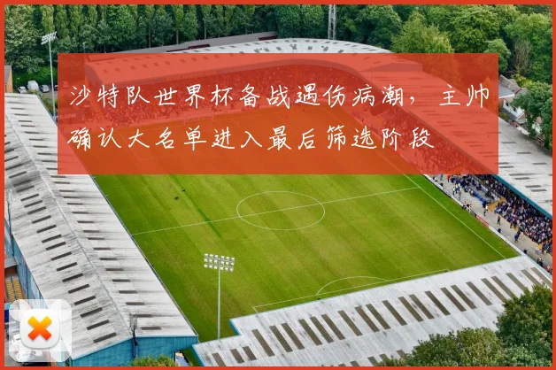 沙特队世界杯备战遇伤病潮，主帅确认大名单进入最后筛选阶段
