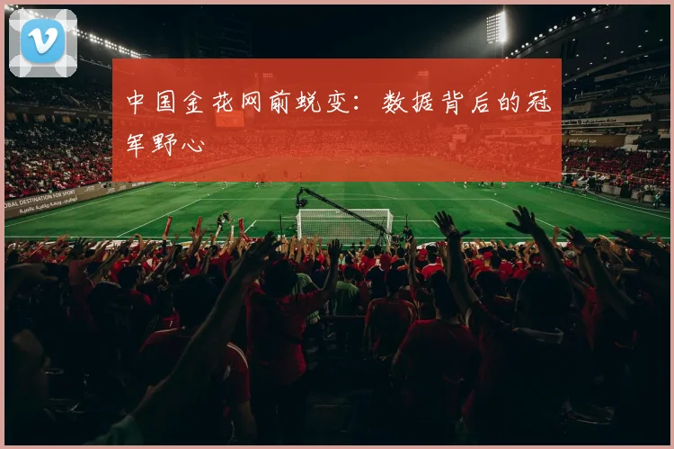 中国金花网前蜕变：数据背后的冠军野心