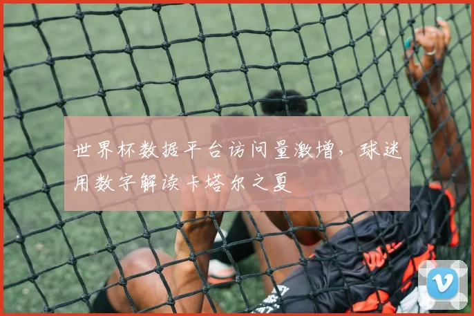 世界杯数据平台访问量激增，球迷用数字解读卡塔尔之夏