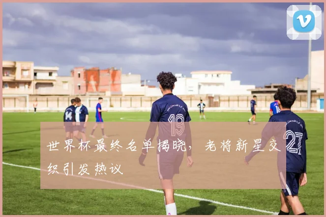 世界杯最终名单揭晓，老将新星交织引发热议